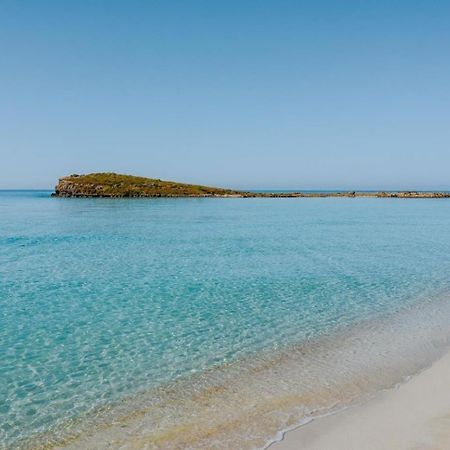 Narcissos Nissi Beach Apartment C16 Айя Напа Екстериор снимка