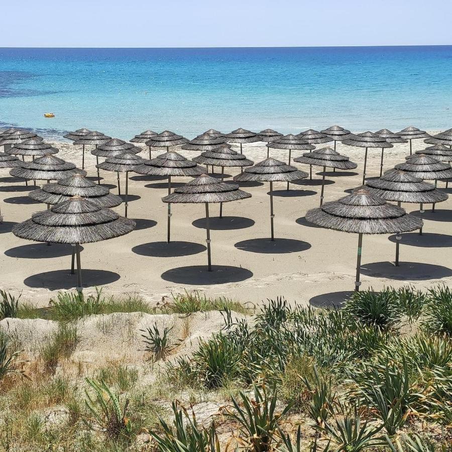 Narcissos Nissi Beach Apartment C16 Айя Напа Екстериор снимка